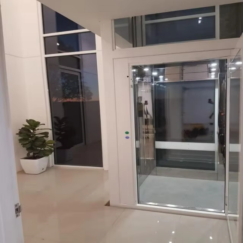 VTEV109 Ascensores Elevadores Lif Vila Kaca Bergaya untuk Rumah Dupleks Persendirian