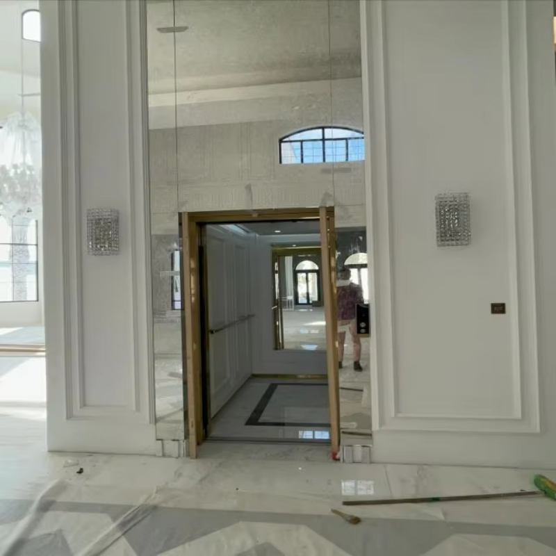 VTEV109 Ascensores Elevadores Lif Vila Kaca Bergaya untuk Rumah Dupleks Persendirian