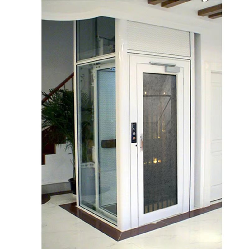 VTEV101 Ascensores Elevadores Lif Vila Rekaan Cantik untuk Gaya Hiasan Moden