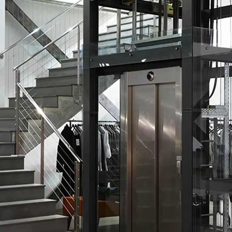 VTEV105 Ascensores Elevadores Lif Vila Kabin Tersuai untuk Hiasan Dalaman