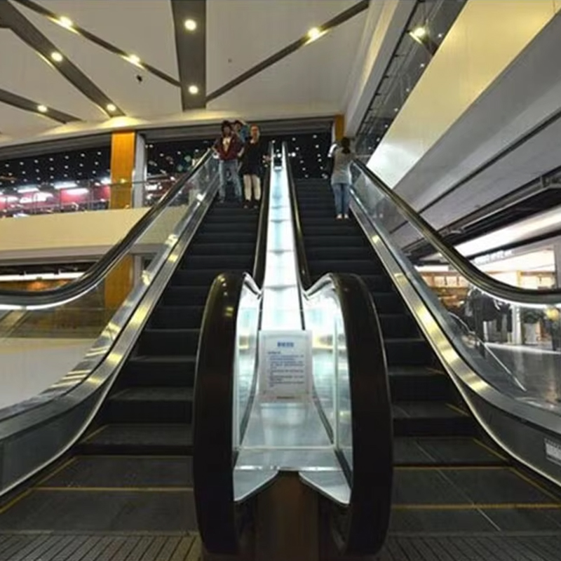 VTES102 Lif Kelajuan 0.5m_s Eskalator Luaran dan Berjalan Bergerak untuk Harga Kilang
