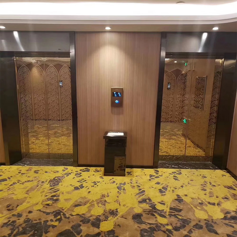 VTEP118 Elevadores Lif Penumpang Lanjutan Tanpa Gear AC PVC Pembinaan Keluli Tahan Karat ISO90001 Disahkan Ciri Pintar Meningkatkan