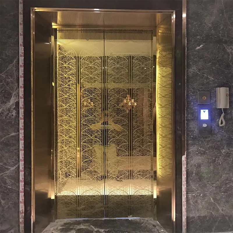 VTSP136 Alat Ganti & Aksesori Lif Kabin Lif Penumpang dengan Lampu LED dan Hiasan Premium