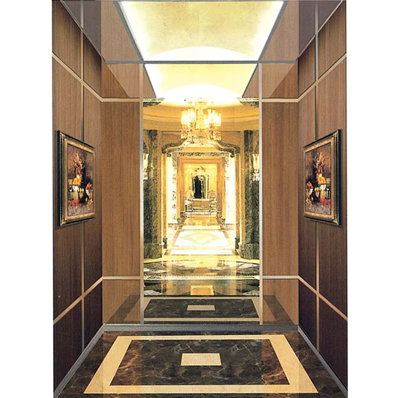 Bahagian & Aksesori Lif VTSP127 Kabin Lif Keluli Tahan Karat Tahan Lama dengan Skirting dan Handrail