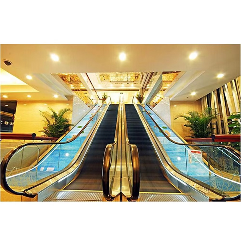 VTES106 Good Quality Competitive Passenger Escalator Outdoor Escalator Price